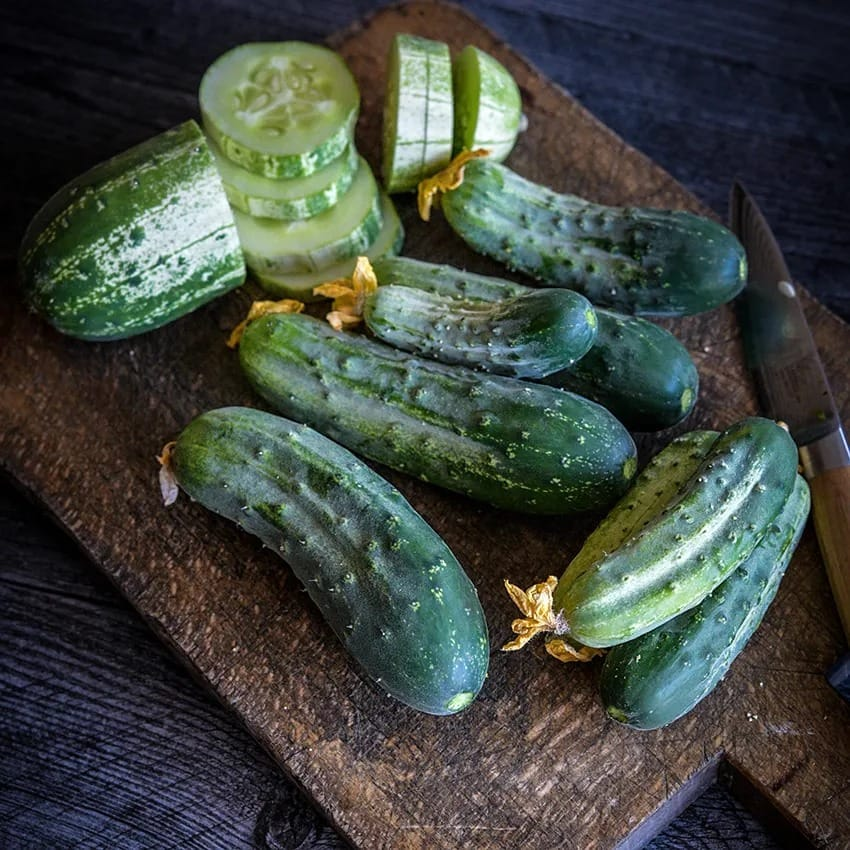 Cucumber
