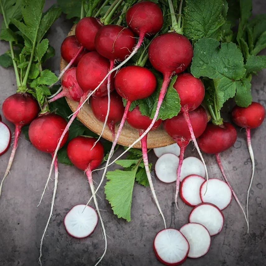 Radish